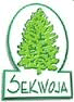 SEKWOJA S.C. W. Bula, W. Schidlo