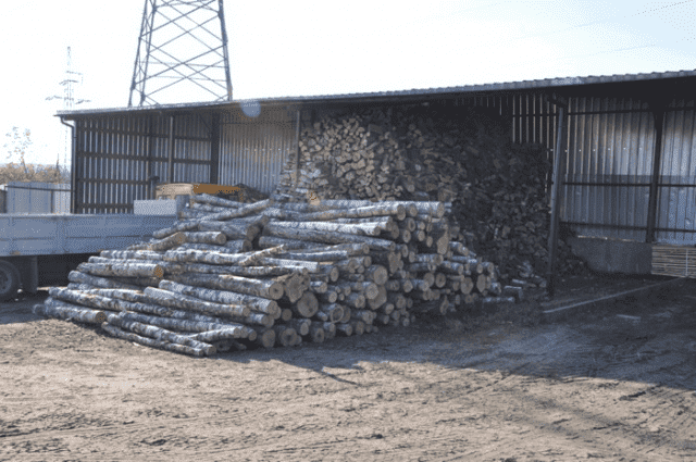 Samir Tartak Mirosław Sawicki