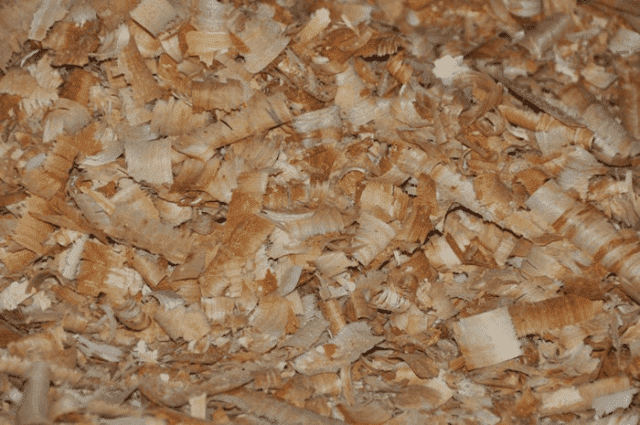 Samir Tartak Mirosław Sawicki