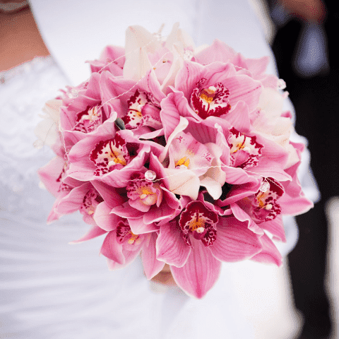 Rozmaitości Kwiatowe Kwiaciarnia Agata Bobrowicz