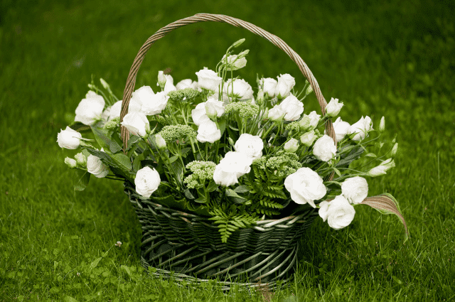 Rozmaitości Kwiatowe Kwiaciarnia Agata Bobrowicz