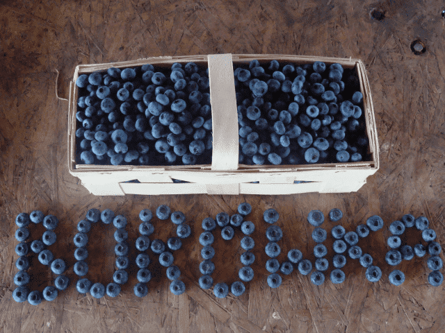 Gospodarstwo Szkółkarsko Ogrodnicze Piotr i Bożena Wójcik