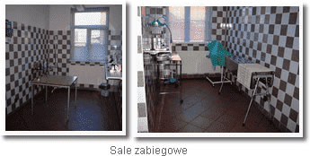 Przychodnia weterynaryjna. Waldemar Romańczukiewicz