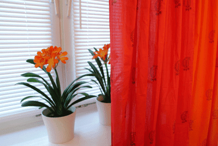 Roltman Sławomir Kotliński