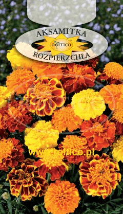 Przedsiębiorstwo Nasienne ”ROLTICO” Grażyna i Andrzej Samul