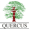"QUERCUS" Specjalistyczne Prace Wysokościowe