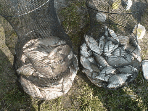 Polski Związek Wędkarski Zarząd Okręgu