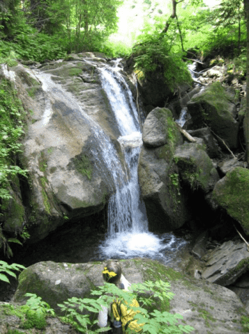 FH " Mikołaj" Mgr. Halina Mikołajczyk