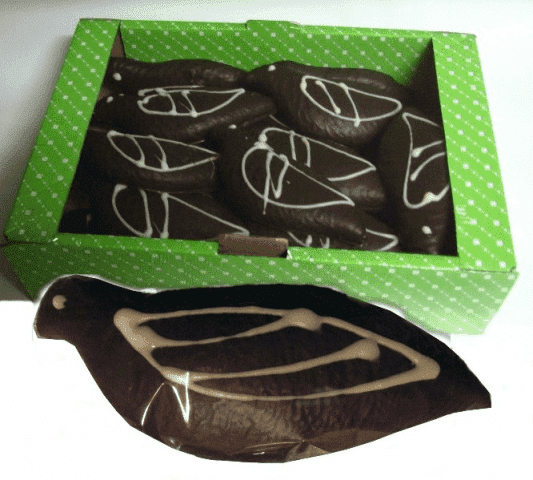 Przepiórki Dariusz Królik