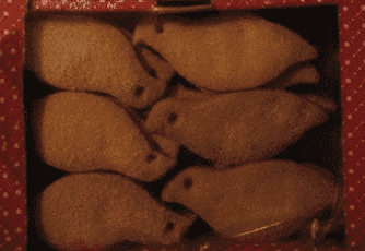 Przepiórki Dariusz Królik