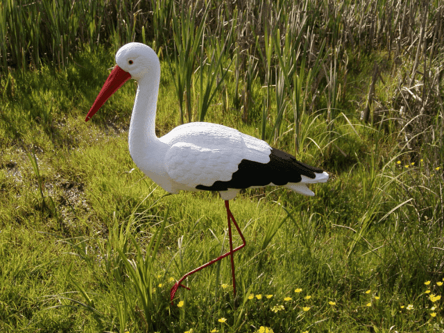 P.P.H.  MAD Marian Madej