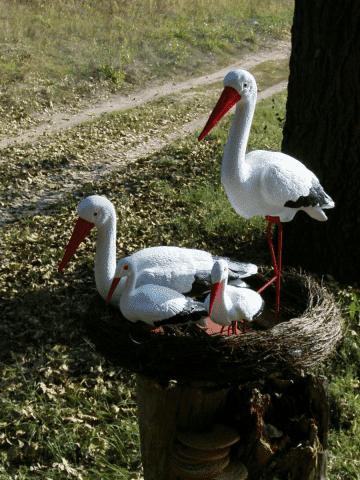 P.P.H.  MAD Marian Madej