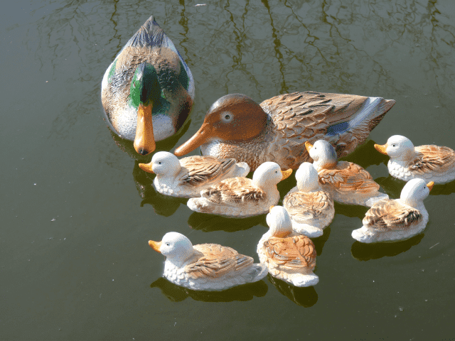 P.P.H.  MAD Marian Madej