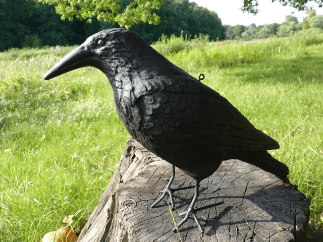 P.P.H.  MAD Marian Madej