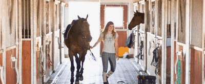 Ośrodek Sportowo-Rekreacyjno-Hodowlany PONDEROSA