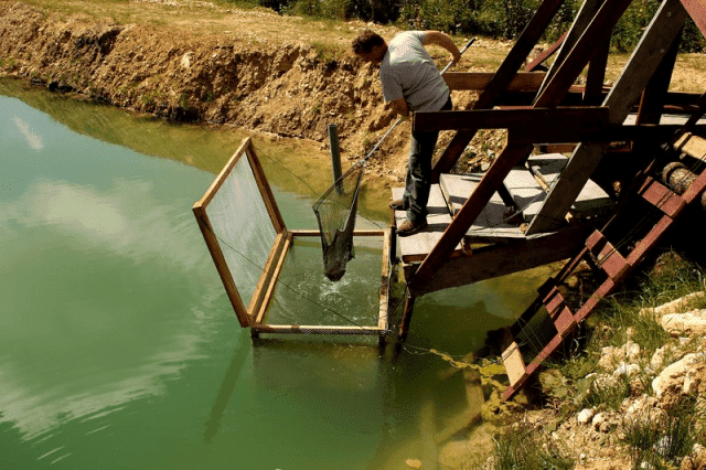 Kochański Andrzej. Pokoje Gościnne