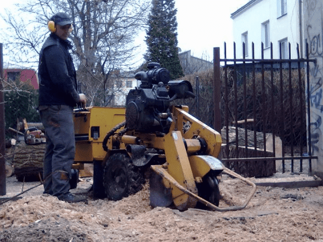 "PLATAN" URZĄDZANIE I UTRZYMANIE ZIELEŃCÓW ROBERT KOPANIARZ