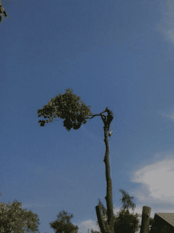 "PLATAN" URZĄDZANIE I UTRZYMANIE ZIELEŃCÓW ROBERT KOPANIARZ