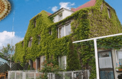 Gwardzik Izabela. Pensjonat