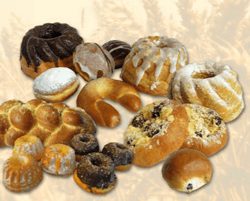 P.P.U.H PATRYCJA&PAWEŁ RYDZYK ZOFIA