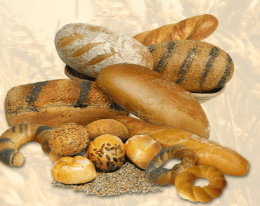 P.P.U.H PATRYCJA&PAWEŁ RYDZYK ZOFIA