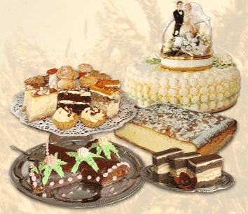 P.P.U.H PATRYCJA&PAWEŁ RYDZYK ZOFIA