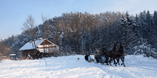 Paryja. Agroturystyka, Stadnina Konna, Nauka Jazdy Konnej