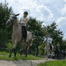 Paryja. Agroturystyka, Stadnina Konna, Nauka Jazdy Konnej