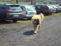 Parking EDAM Włodzimierz Wieczorek