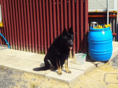 Parking EDAM Włodzimierz Wieczorek