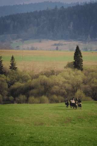 Ośrodek Wypoczynkowy,Stadnina koni"Stara Cegielnia"