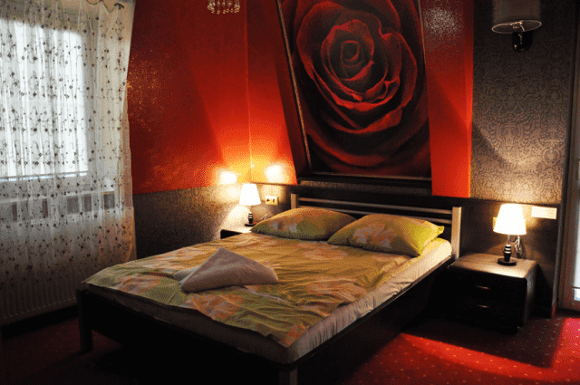 Willa Orle Gniazdo w Nałęczowie Hotel
