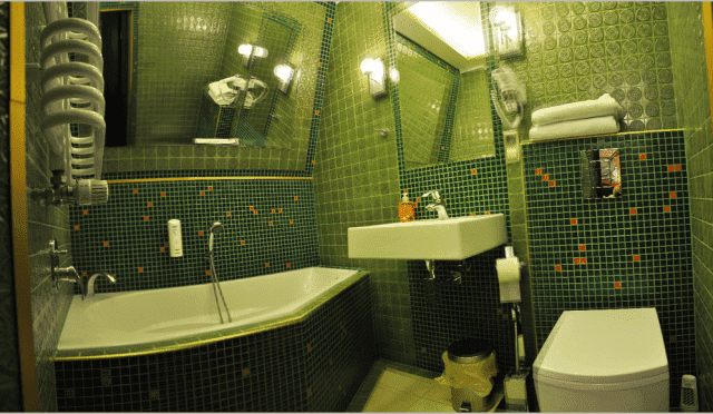 Willa Orle Gniazdo w Nałęczowie Hotel
