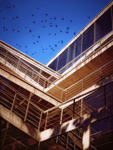 Agencja Kreatywna NoTriangle