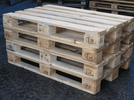 Norjack GRAŻYNA SURMIAK