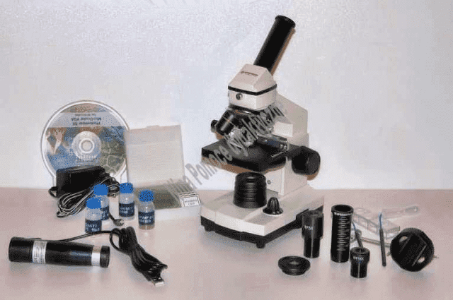 PHU Nina Export-Import Mirosław Kossakowski