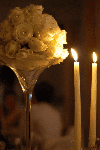 "Nelson" catering & events