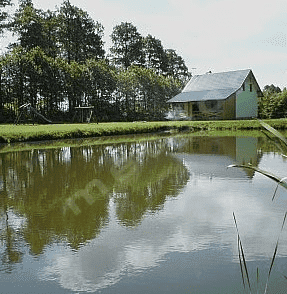 Agroturystyka Nad Stawem