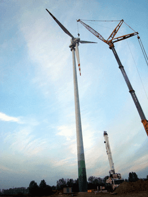 Przedsiębiorstwo exportowe "MTM" Mirosław Waraksa.