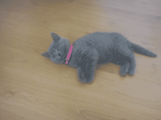 MIREXA Kolektory słoneczne, remonty miszkań