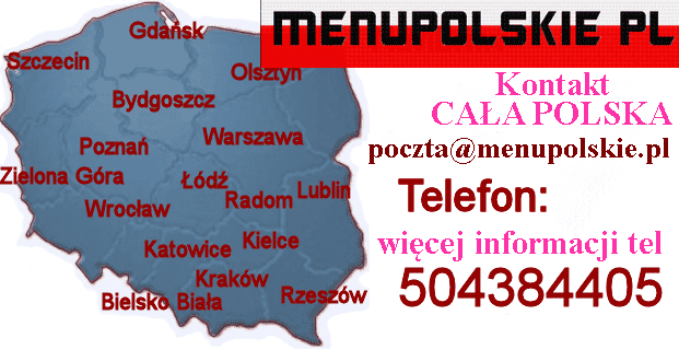 Polskie Menu lektor Polski nawigacja fabryczna Audi BMW Mercedes VW Renault mapa