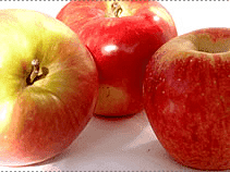 Grupa Producentów Owoców i Warzyw MATYSIAK Sp. z o.o.