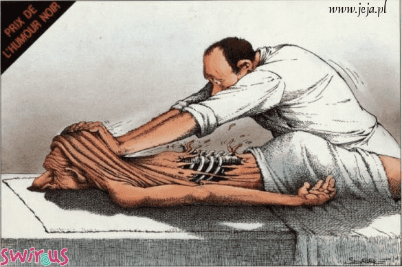 Aqua Park.Salon masażu tajskiego