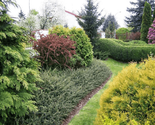 P.P.U.H.”MAPA-2” Tadeusz Matysiak