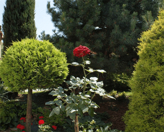 P.P.U.H.”MAPA-2” Tadeusz Matysiak