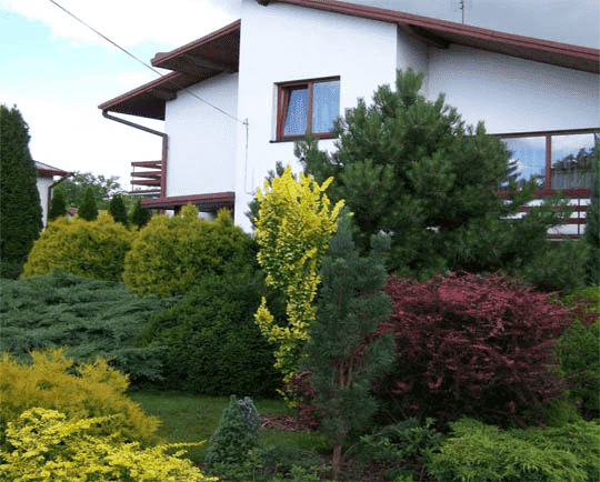 P.P.U.H.”MAPA-2” Tadeusz Matysiak