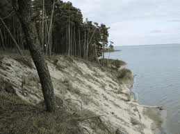 "LUXUS" Ośrodek Wypoczynkowo-Rehabilitacyjny