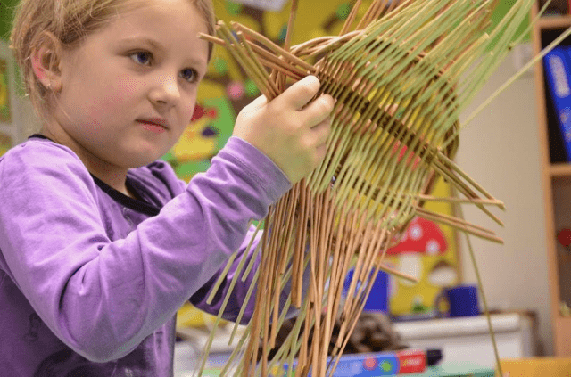 Łoza-Wiklina Polska