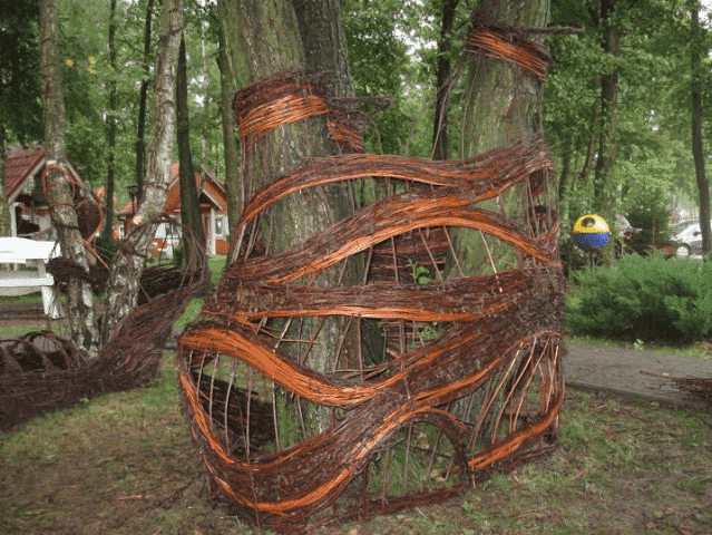 Łoza-Wiklina Polska