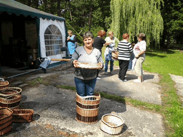 Łoza-Wiklina Polska